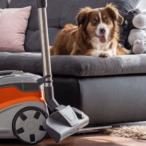 Thomas Aqua⁺ Pet & Family – Aspirateur pour animaux